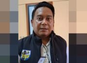 DPD KNPI Beltim Harap Oknum Kadis yang Tampar Anggota Satpol PP Ditindak Tegas