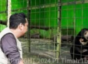 Selain Rusak Lingkungan, Aktivitas Tambang Timah Ilegal Ganggu Ekosistem Satwa Endemik